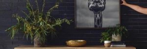 Interior Design Services in Washington, D.C.