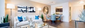 Interior Design Services in D.C. Metro