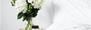 Interior Design Services in Washington D.C.